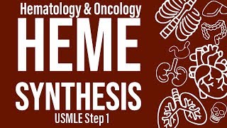 Heme Synthesis HemeOnc  USMLE Step 1 [upl. by Aicetel]