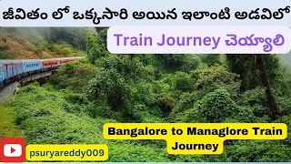 Bangalore to Mangalore Train journey in Monsoon స్వర్గం లాంటి రైలు ప్రయాణం బెంగళూరు నుండి మంగళూరు [upl. by Rigdon]