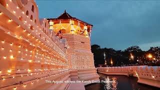 Witness the Majestic Kandy Esala Perahera [upl. by Enirbas]