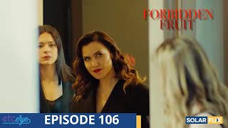 Forbidden Fruit Episode 106  FULL EPISODE  TAGALOG DUB  Turkish Drama [upl. by Constance665]