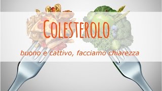 Colesterolo buono HDL colesterolo cattivo LDL facciamo chiarezza [upl. by Reisman359]