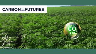 Wandarra teams up Carbon Futures Australia [upl. by Anreval277]