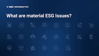 What Are Material ESG Issues [upl. by Jacintha]