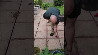 Repointing Paving Slabs  Satisfying Patio Renovation diy gardening [upl. by Nosnor]