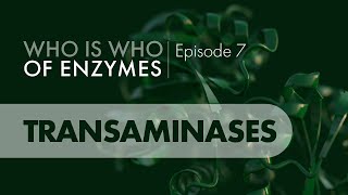 Who Is Who of Enzymes Transaminases [upl. by Yasdnil]