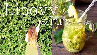 LIEČIVÉ ÚČINKY LIPY LIPOVÝ SIRUP RECEPT  LIPA [upl. by Coster]