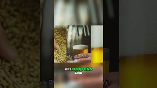 Die Wirkung des Hopfens  Bitterstoffe ätherische Öle und Flavonoide [upl. by Ddot]