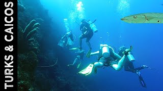 Providenciales Turks and Caicos  Part V  The Dive [upl. by Wynny693]