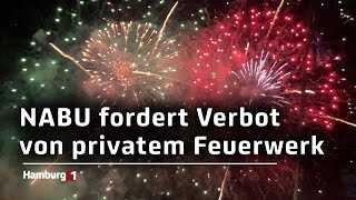 Wegen Feinstaubbelastung und Problemen für Tiere NABU fordert privates Feuerwerksverbot [upl. by Annabelle]