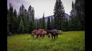 Packing Into The AbsarokaBeartooth Wilderness Gallatin NF 2018 Day 1 [upl. by Maurits292]