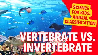 The Animal Kingdom Classification of Vertebrates amp Invertebrates  Kids Science Lesson [upl. by Elayor]