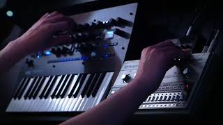 TR606minilogue xdmonotron DELAY and me [upl. by Heimlich]