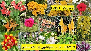 நம்ம வீட்டு பூந்தோட்டம் My Home Flower Garden Tour PART  II Flower Garden Tour in Tamil 🌸🌺🌻🌼🌷🌹 [upl. by Theresina]