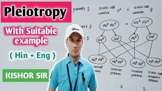 Pleiotropy  Definition  Cross  Example  Genetics  Bio  Class 12  Hindi  English Kishor Sir [upl. by Yellat]