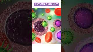 Antigen and Antibody  Healthy Track shorts how explore information [upl. by Eenwat]