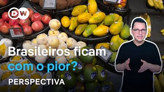 O Brasil manda suas melhores frutas para Europa [upl. by Anak]