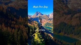 Maple Pass Loop  North Cascades larches hiking pnw mountains larches [upl. by Savart]