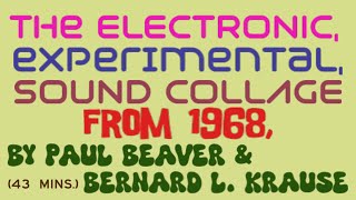 1968s Electronic Experimental Sound Collage Album by Paul Beaver amp Bernard L Krause 43 mins [upl. by Asina573]