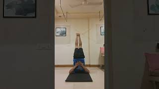 Halasana  sarvangasan  karnapaidasa minivlog ytshorts shortvideo youtubeshorts [upl. by Kwabena]