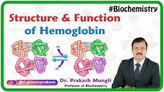 Structure and function of hemoglobin [upl. by Ondrej]