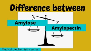 Lec 35  Difference between Amylose and Amylopectin  Short Answer Medical biochemistry series [upl. by Noswal]