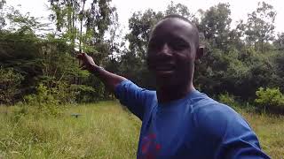 FULL EPISODE ABOUT KARURA FOREST NAIROBI RESIDENT [upl. by Skipp]