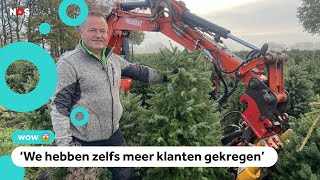 Duizenden vernielde kerstbomen toch verkocht [upl. by Cotter]