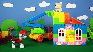 Paw Patrol Pups helfen Milly der Maus [upl. by Branden]