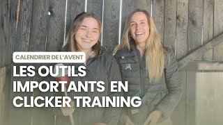 🎄 Jour 6  les outils importants en Clicker Training [upl. by Clarke749]