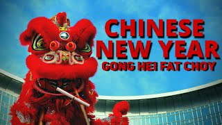 Chinese New Year Information for Kids  Facts about Chinese New Year [upl. by Tiram]