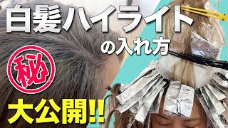 40代・50代必見！＜脱白髪染め＞ハイライトの入れ方見せます！（レタッチ） [upl. by Neeven]