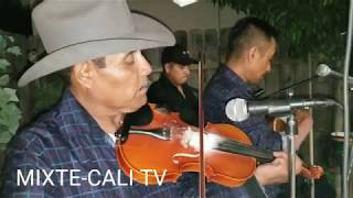 TRIO DE VIOLIN OAXAQUEÑO  Chilena Mixteca de Violin  Musica de Violin Mixteco [upl. by Yud]