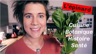 Tout savoir sur les épinards  cuisson botanique santé et recettes [upl. by Cavill]