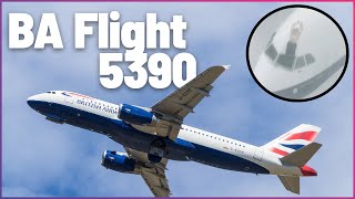 How The Pilot Who Fell Out Of The Cockpit Window MidFlight Survived  Mayday Air Disaster [upl. by Worra118]