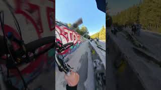 70kmh Brakeless MTB Bobsled POV [upl. by Mariann]