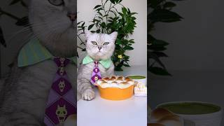 Wow 🤩 You must try this cakeIts too easy food catofyoutube asmr cake [upl. by Ahsropal]