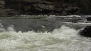 2800 cfs  Sweets Falls Gauley River [upl. by Mcquoid878]