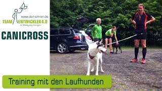 Canicross am Sonntagmorgen französischer Laufhund Husky Hound Laufhunde Training Canicrosstraining [upl. by Enirolf]