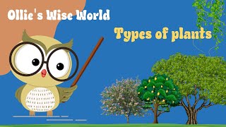 Plant Types Explained Trees Shrubs Herbs Climbers Creepers [upl. by Gabriell231]