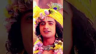 Krishna vaani ❤❤KRISHNA SHORT VIDEOS । shreekrishna shortsfeed youtubeshorts shorts krishna [upl. by Anayd]