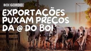 Exportações PUXAM os Preços da  do BOI GORDO [upl. by Eillehs]