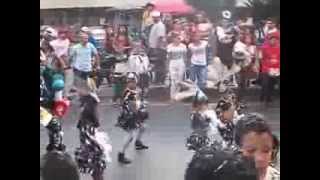 Carnavales 2014 Los Teques samba 40 [upl. by Merchant371]