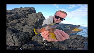 Rock Fishing Victoria  Only Lures [upl. by Quin]