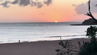 Sunrise at Terrigal Beach Multiple bird fly passes [upl. by Ocirema]