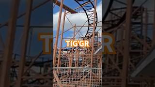 Tiggr The Schwarzkopf Jetstar  Indiana Beach [upl. by Ogilvy]