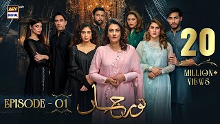 Noor Jahan Episode 1  25 May 2024 English Subtitles  ARY Digital Drama [upl. by Adniuqal]