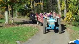 Roses Berry Farm  Fall Hayride [upl. by Staffan]