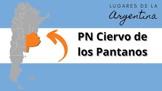 PN Ciervo de los Pantanos Buenos Aires [upl. by Adalai]