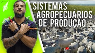 Sistemas Agropecuários de Produção  Geobrasil [upl. by Turne]