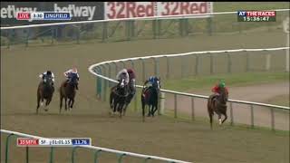 Racehorse shows incredible burst of speed [upl. by Aneral631]